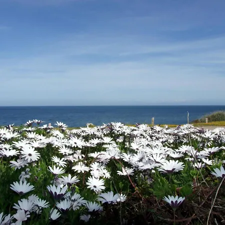 Limette 2 By Interhome Lejlighed *