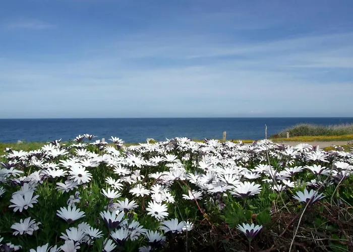 Limette 2 By Interhome Appartement *